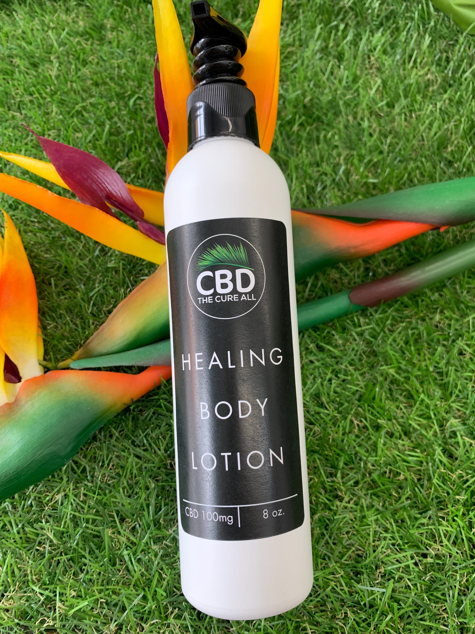 1 TOPICAL CBD HEALING BODY LOTION – The Cure All
